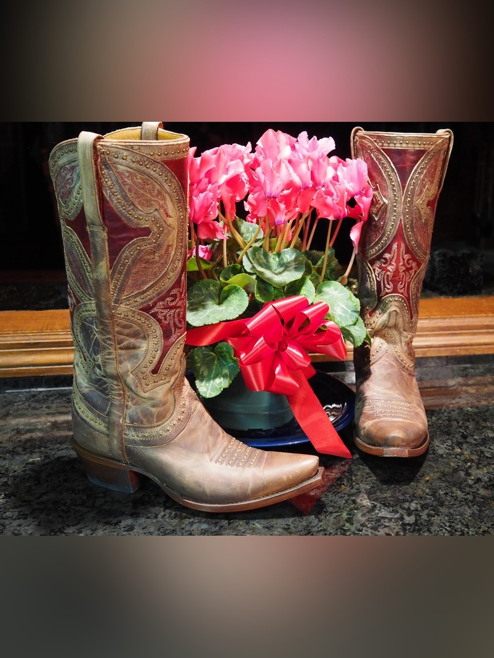 Lucchese ** The Leila - Sahara** design Tall western fashion boots - 7
